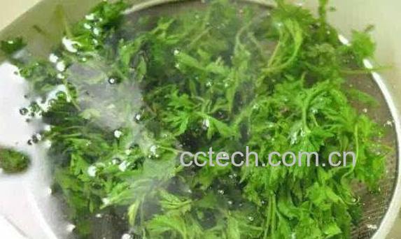 如何用艾叶水洗脸 艾叶水洗脸的正确方法-0