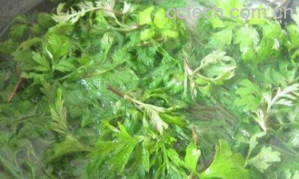 干艾叶熬水洗脸好处有哪些-0