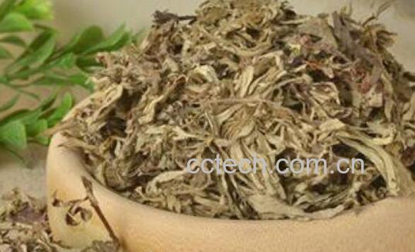 艾叶水洗脸后要清洗吗 艾叶水洗脸的注意事项-0