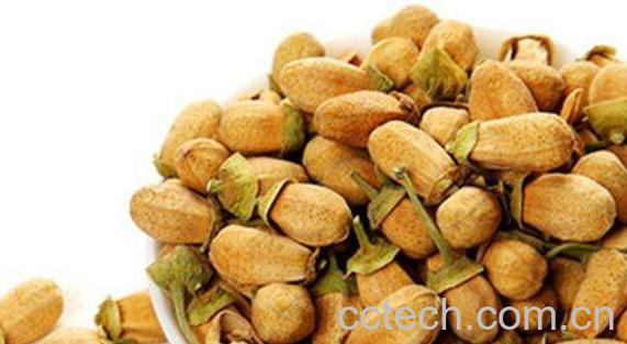 玳玳花的功效与作用及药用价值-0