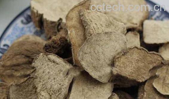 小草乌的功效与作用 小草乌的药用价值-0