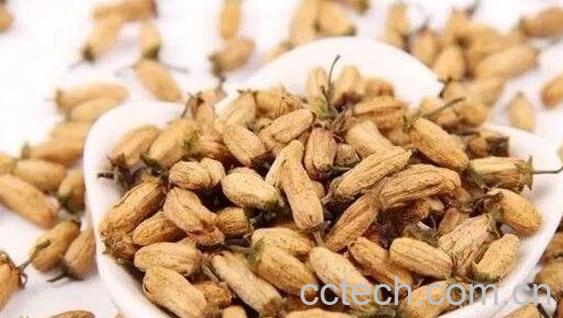 玳玳花的功效与作用及药用价值-1