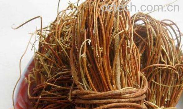 鸡骨草的功效与作用 鸡骨草不能和什么同吃-0