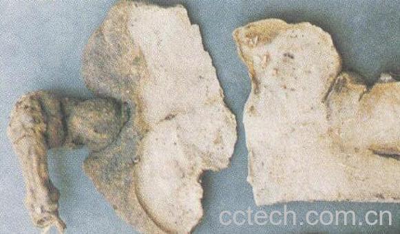 雪胆的功效与作用-0