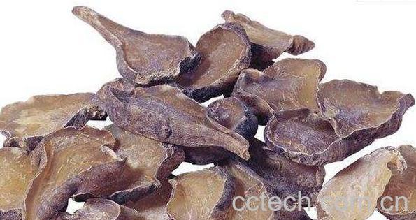 天雄的功效及作用 天雄的药用价值-1