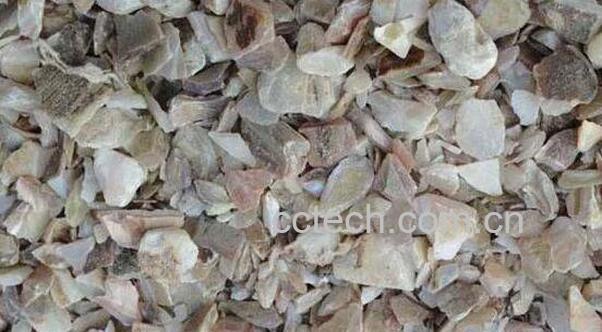 珍珠母的功效与作用 珍珠母的药用价值-1