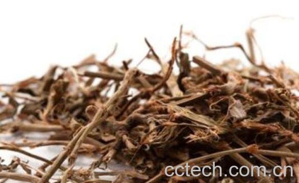 中药q蓄的功效与作用 q蓄的副作用-0