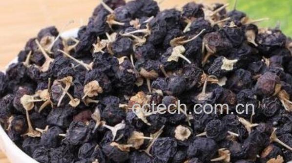 黑枸杞和红枸杞的区别 吃黑枸杞的好处-1