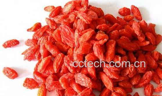 黑枸杞和红枸杞的区别 吃黑枸杞的好处-0