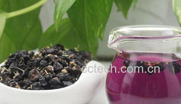 黑枸杞怎么食用好 黑枸杞子的食用方法-0