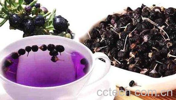 黑枸杞怎么吃 黑枸杞的正确吃法-1