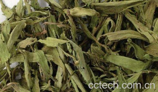 甜菊叶和什么一起最好 甜菊叶的禁忌-1