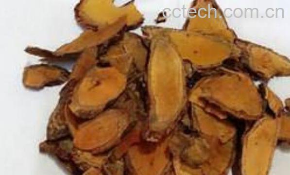 茅莓根的功效与作用 茅莓根的药用价值-0