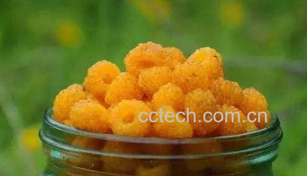 黄锁梅的功效与作用 吃黄锁梅的好处-0