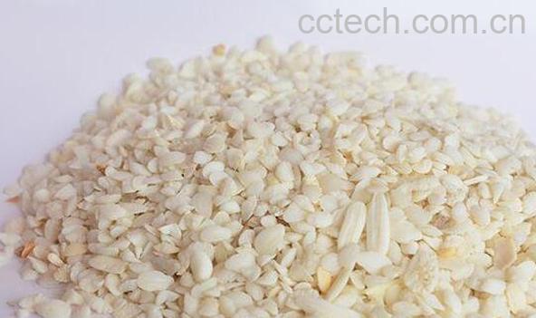 鱼脑石的功效与作用 吃鱼脑石的好处-1