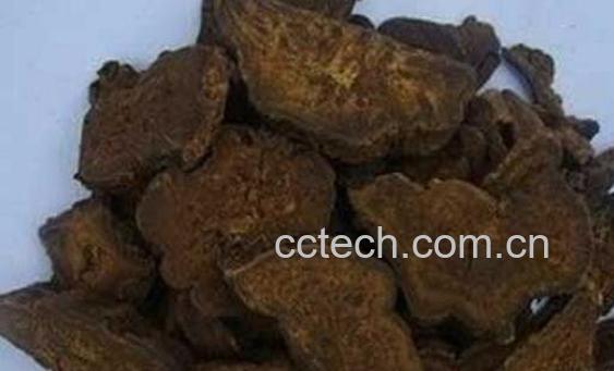 生大黄和熟大黄的区别-1