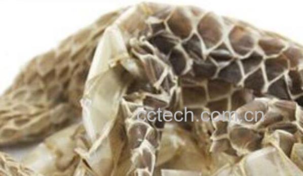 中药蛇皮的功效与作用及药用价值-0