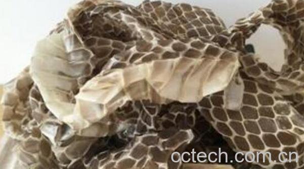 中药蛇皮的功效与作用及药用价值-1