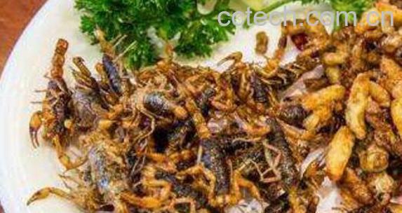 吃蝎子的好处和坏处-1