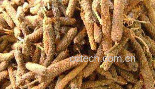 荜茇泡酒的功效与作用-0