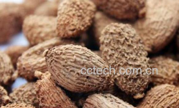 砂仁泡酒的功效与作用-0