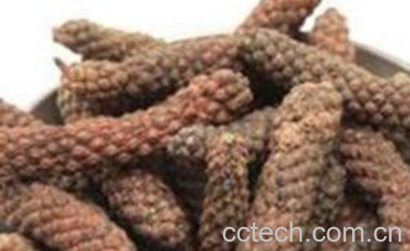 荜茇泡酒的功效与作用-1