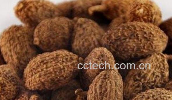 砂仁泡酒的功效与作用-1