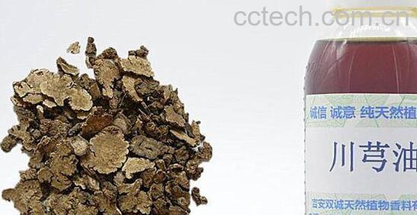 川芎油的功效与作用-1
