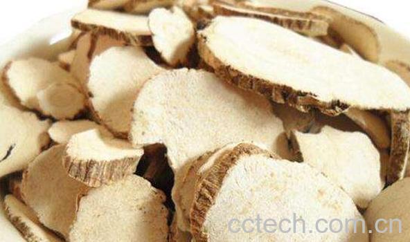 白芷油的功效与作用-1