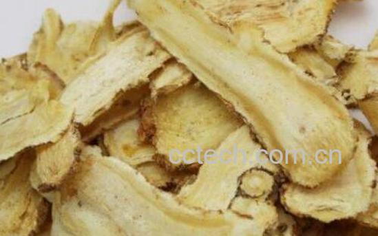 当归油的功效与作用 当归油的药用价值-0