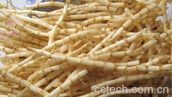 白茅根的功效与作用 白茅根的禁忌-0