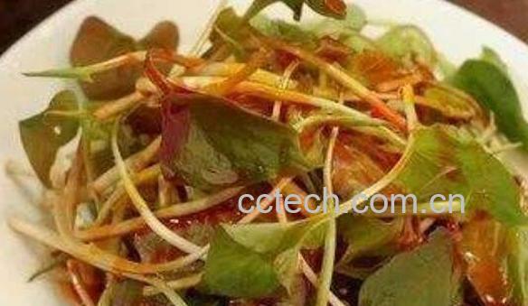 白茅根和鱼腥草的区别-1