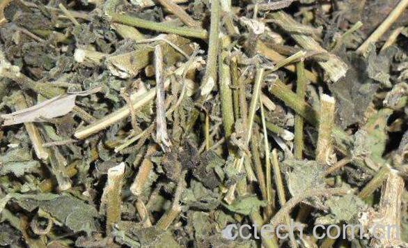 中药白英的功效与作用及药用价值-1