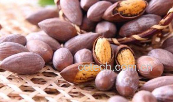 香榧的功效与作用 香榧的药用价值-0