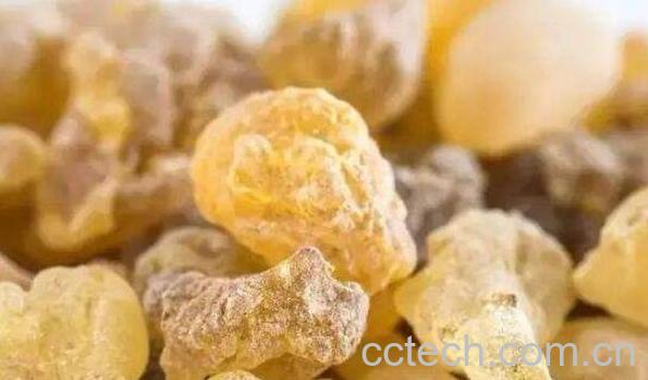 乳香没药的功效与作用及禁忌-0