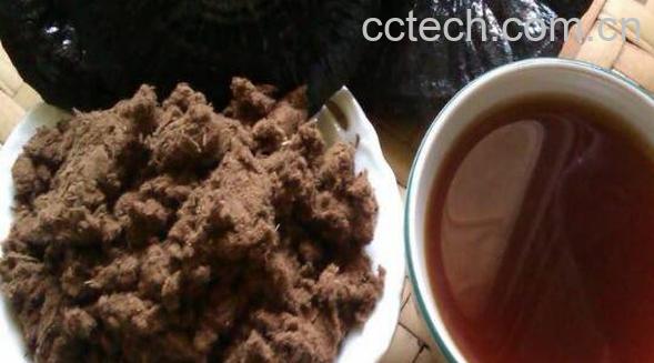 灵芝粉怎么冲水喝 灵芝粉泡水喝的方法-1