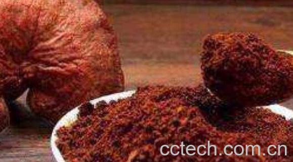 灵芝粉怎么吃 灵芝粉如何食用-1