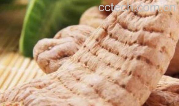 女人吃天麻的好处 女人吃天麻的禁忌-0