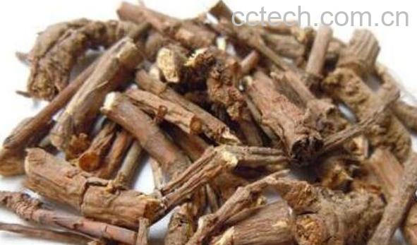 北柴胡的功效与作用及食用方法-0