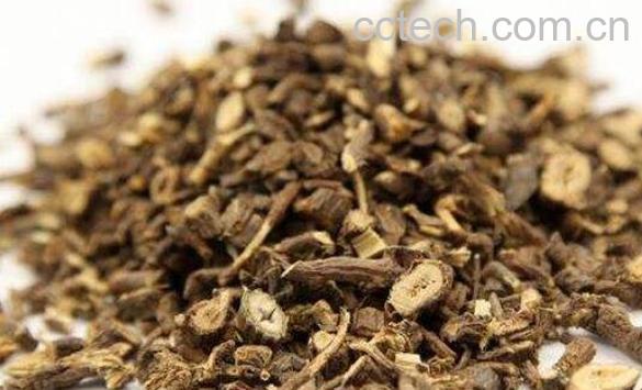 北柴胡的功效与作用及食用方法-1