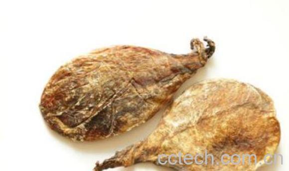 羊胆的功效作用药用价值-0