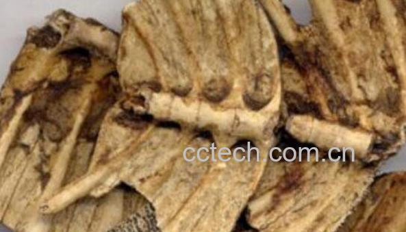 鳖甲的功效与作用 鳖甲的药用价值-0