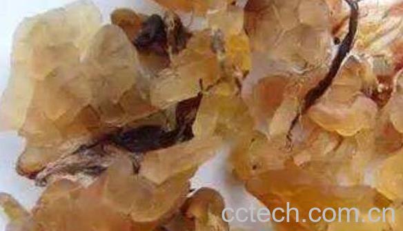 蛤蟆油的功效与作用 蛤蟆油的副作用-1