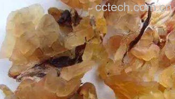 东北蛤蟆油的功效与作用-0