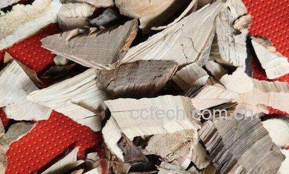 梧桐根皮的功效与作用及药用价值-1