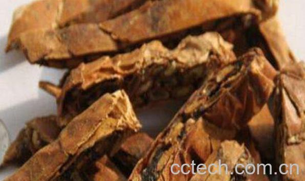 梧桐根皮的功效与作用及药用价值-0