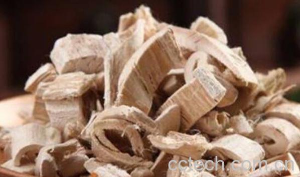 桑树根泡酒功效与作用-0