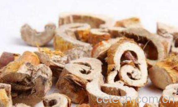 桑树根泡酒功效与作用-1