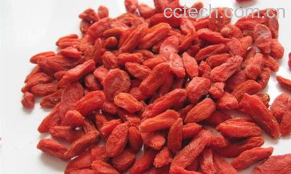 枸杞粉-1