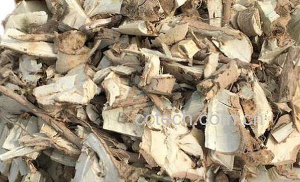 枸骨根的功效与作用-1